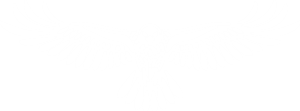 nasooralkari logo